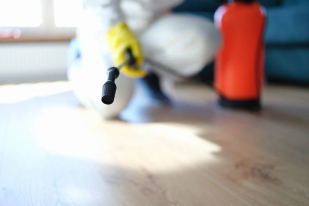 Best Comprehensive Air Testing for Mold Contaminants  in Indian River Shores, FL